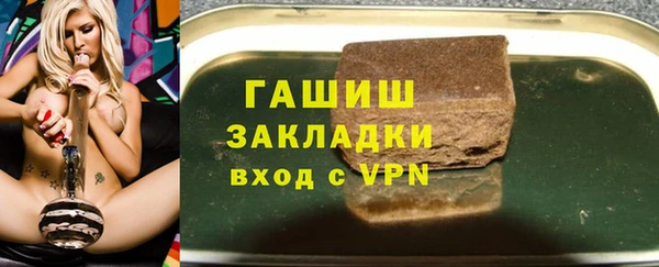 шишки Ельня