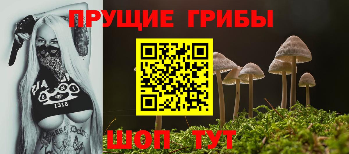 Симферополь  Псилоцибиновые грибы Psilocybine cubensis  Вход с VPN 